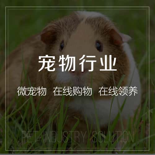 济宁宠物