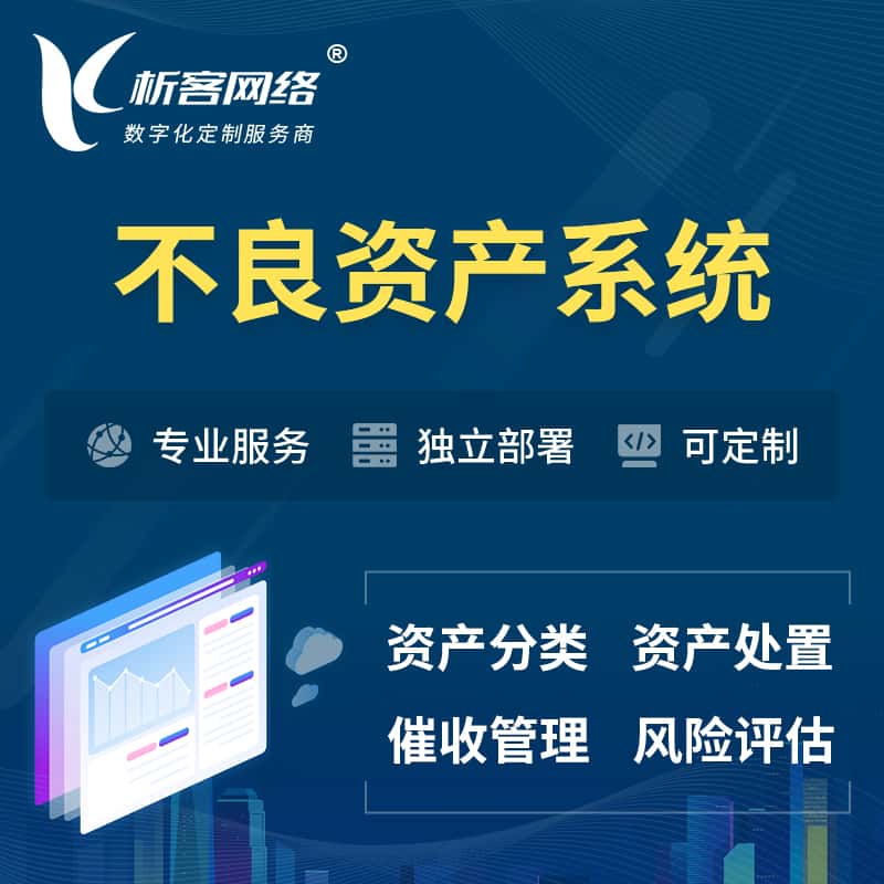 济宁不良资产管理系统